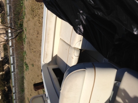 เรือ Searay 215