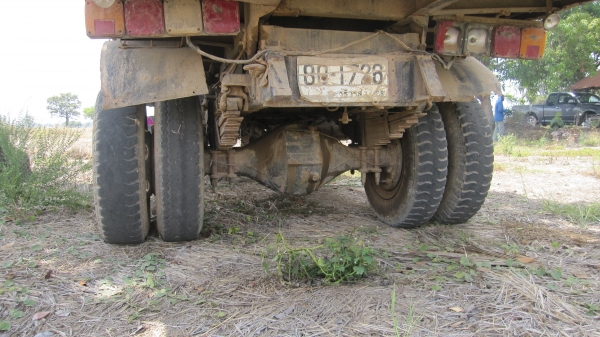 ขายหัวยาวดั้มพ์