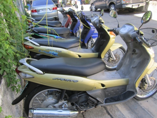 ยังไงก็ขาย เหมาNouvo ตัวเก่า 5คันราคาเบาๆ โอนให้คับผม