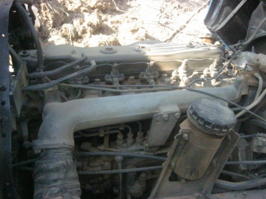 ขายROCKY 175 ขายROCKY 175