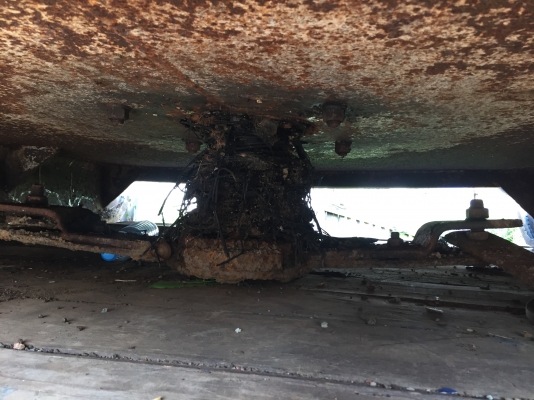 เครื่องตัดหญ้า.