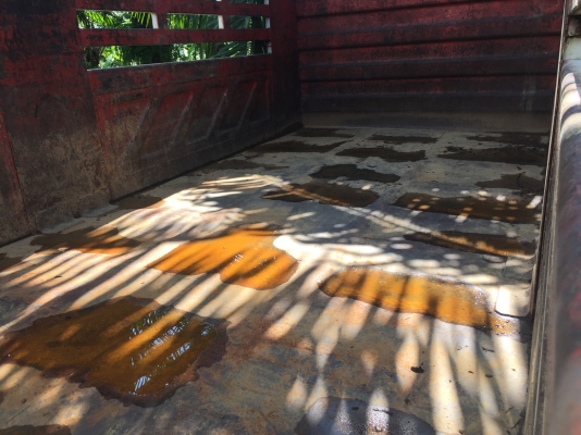 ขายกะบะเปล่าสามมิตร สวย. สภาพดี