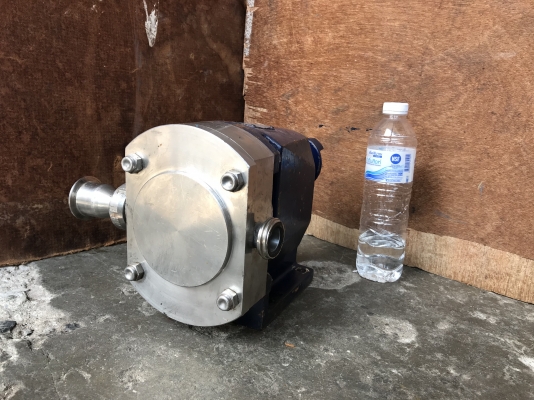 ขายปั๊มดูดของเหนียว หัวสแตนเลส ขนาดท่อ 1นิ้ว สภาพสวย หมุนนิ่ม พร้อมใช้งาน