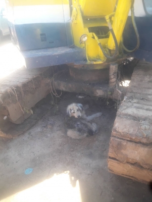 Pc 60-1 ขายถูก  175000. โทร 09-3098-3253