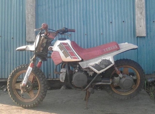 มอเตอร์ไซค์วิบาก คันเล็ก 50 CC Yamaha PW50