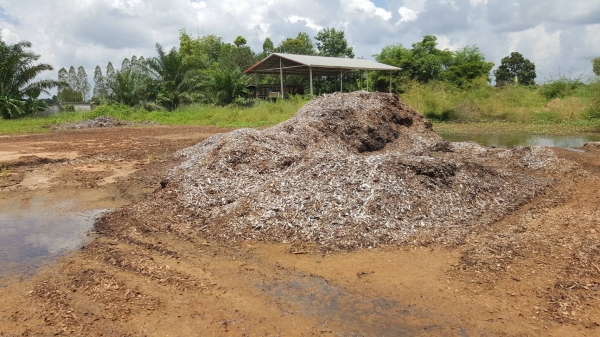 ขาย เครื่องสับไม้ ขนาดกำลังผลิต 200 ตัน/วัน มอเตอร์ 250 แรง สภาพพร้อมใช้งาน ขาย เครื่องสับไม้ ขนาดกำลังผลิต 200 ตัน/วัน มอเตอร์ 250 แรง สภาพพร้อมใช้งาน