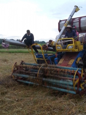 ขายรถเกี่ยวอุ้ม2.5 เครื่อง195โบว์ช่วงล่าง 10/23