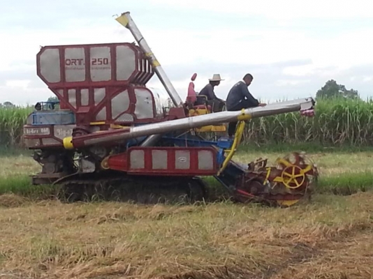 ขายรถเกี่ยวอุ้ม2.5 เครื่อง195โบว์ช่วงล่าง 10/23