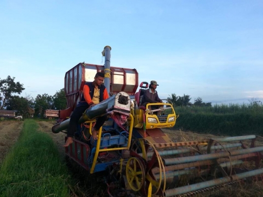 ขายรถเกี่ยวอุ้ม2.5 เครื่อง195โบว์ช่วงล่าง 10/23