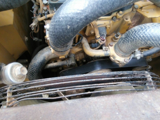 แมคโคแคท  320. D  ญีปุ่น