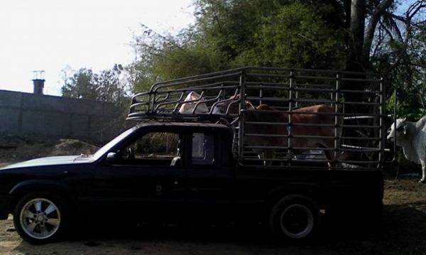 ขายคอก7000เลิกใช้งาน