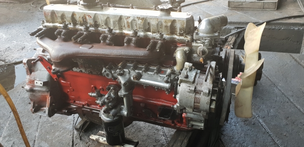 Ho7d 195  แรง(พร้อมหมายเลข) ข้อstd