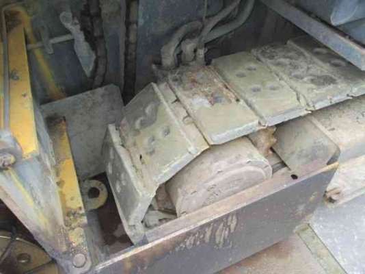 นำเข้าปูยางนอก นำเข้าปูยางนอก