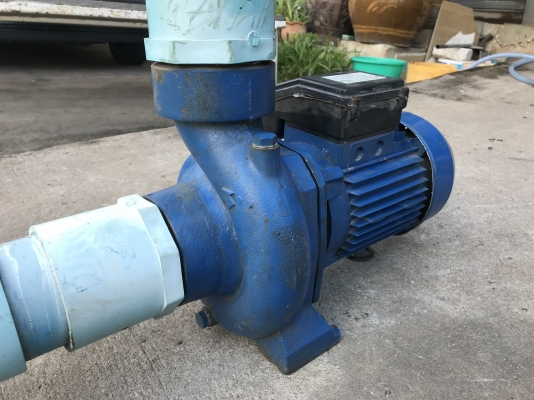 ขายปั๊มน้ำหอยโข่ง Ebara 1.5HP. 220V ไฟบ้าน รุ่นเน้นปริมาณน้ำ ขนาดเข้า 3นิ้ว ออก 3นิ้ว ได้น้ำ 300-900m3/h ส่งสูงประมาณ 5m สภาพสวยเดิมๆ หมุนนิ่ม พร้อมใช้งาน ราคา 3,800 บาท