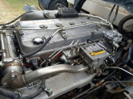 ขาย344ปี54ดั๊มพนัส(แม่เดี่ยว) ขาย344ปี54ดั๊มพนัส(แม่เดี่ยว)