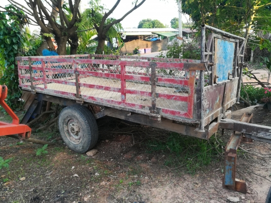 ขายสาลี่พร้อมใช้งาน