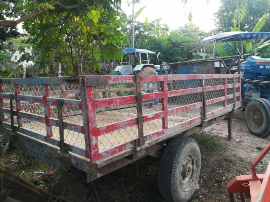 ขายสาลี่พร้อมใช้งาน ขายสาลี่พร้อมใช้งาน