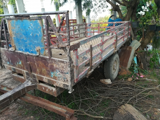 ขายสาลี่พร้อมใช้งาน ขายสาลี่พร้อมใช้งาน