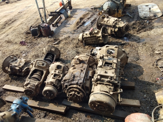 เกียร์honoหลายตัว