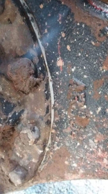 ขายครับ ขายครับ