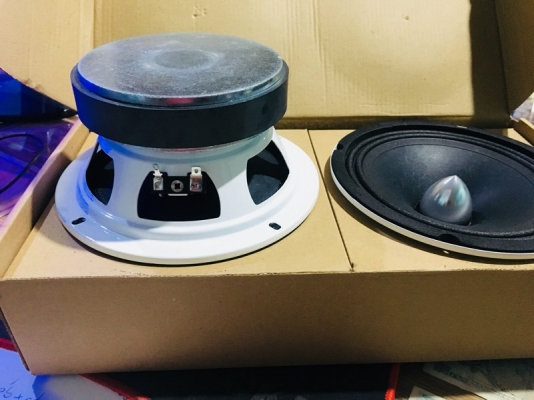 ขายลำโพงเสียงกลาง