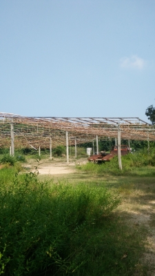 ขายโครงหลังคาโรงงาน พื้นที่กว้าง 30 ยาว 40 เมตร  สนใจโทรเลย  0930983253