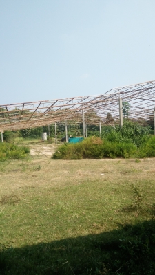 ขายโครงหลังคาโรงงาน พื้นที่กว้าง 30 ยาว 40 เมตร  สนใจโทรเลย  0930983253