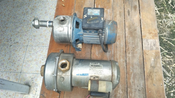 ขายมอเตอร์ปั๊มน้ำ