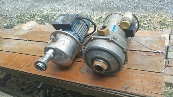 ขายมอเตอร์ปั๊มน้ำ