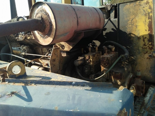 ขายโคมัสสุ 120 เอกสารอินวอย ขายโคมัสสุ 120 เอกสารอินวอย