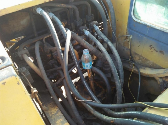 ขายโคมัสสุ 120 เอกสารอินวอย ขายโคมัสสุ 120 เอกสารอินวอย