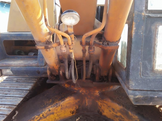 ขายโคมัสสุ 120 เอกสารอินวอย ขายโคมัสสุ 120 เอกสารอินวอย