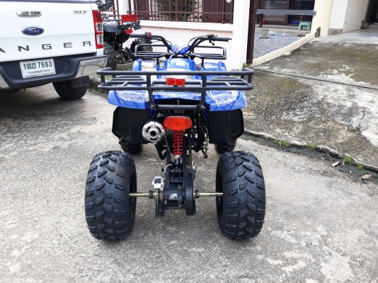 ATV150 cc