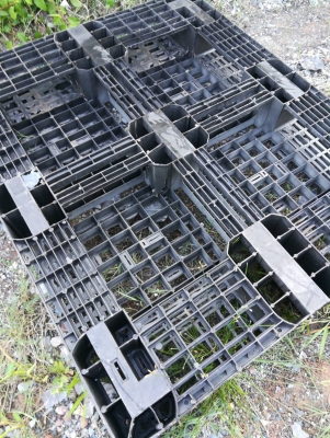 พาเลทพลาสติกราคาพิเศษ มือสอง