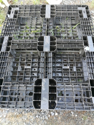 พาเลทพลาสติกราคาพิเศษ มือสอง