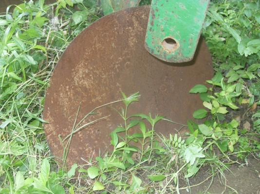 ขายผานสาม