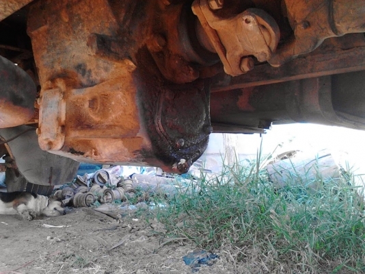 ขายด่วน! รถเกี่ยวไอ้หนุ่มไวไฟปี54 +เทรลเลอร์ 10ล้อ ฿90 ต่อรองได้ครับ