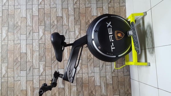 จักรยานทรงตัวล้อเดียวไฟฟ้า