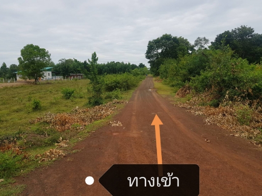 ขายที่ดินเปล่า ขายที่ดินเปล่า