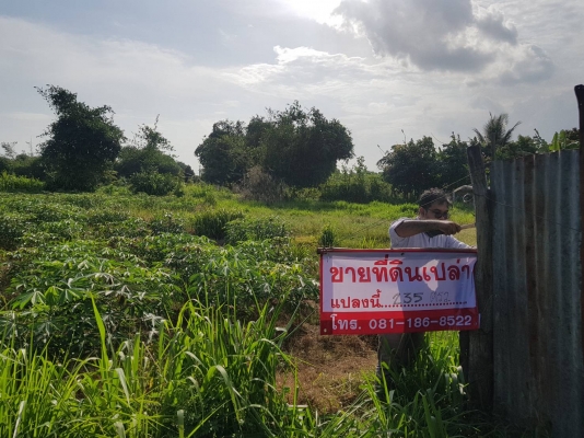 ขายที่ดินเปล่า ขายที่ดินเปล่า