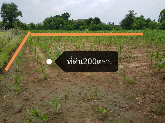 ขายที่ดินเปล่า ขายที่ดินเปล่า