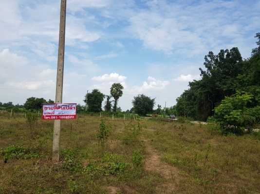 ขายที่ดินเปล่า ขายที่ดินเปล่า