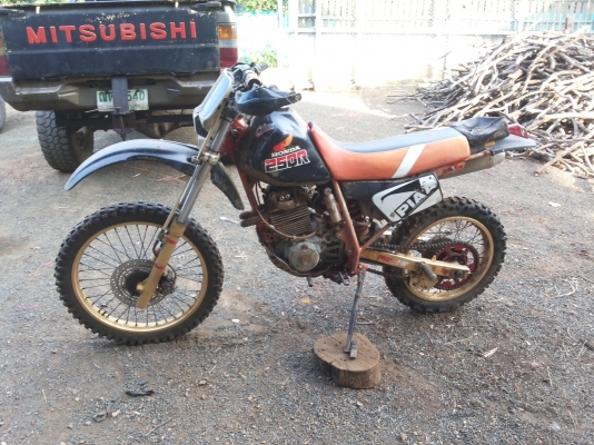ขาย XLR250