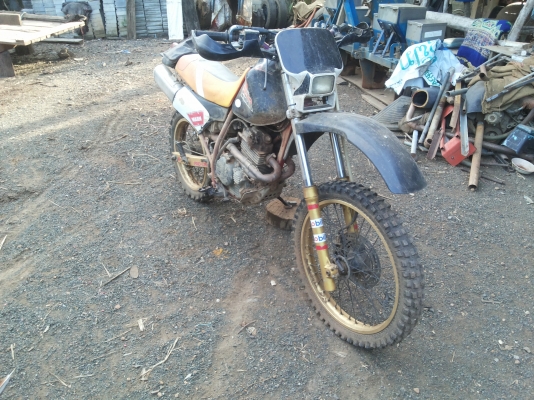 ขาย XLR250