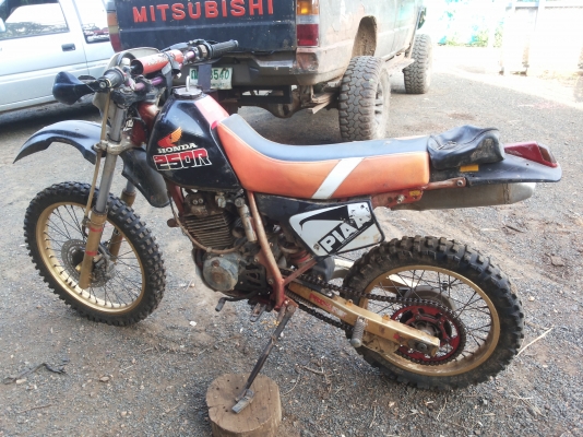 ขาย XLR250