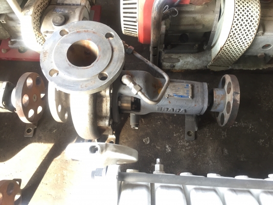 ขายปั้มน้ำสแตนเลส แรงดันสูง ยี่ห้อ EBARA เก่าญี่ปุ่น ขนาด 3X2.5 นิ้วสภาพสวยมากๆ