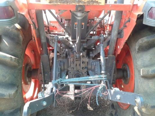 ชายด่วน ชายด่วน