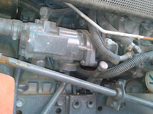 ชายด่วน ชายด่วน