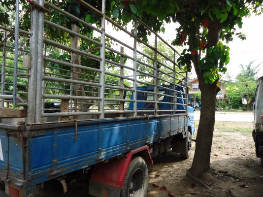 ขาย ISUZU KS กระบะคาร์โก้