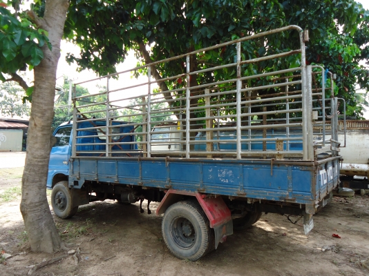 ขาย ISUZU KS กระบะคาร์โก้